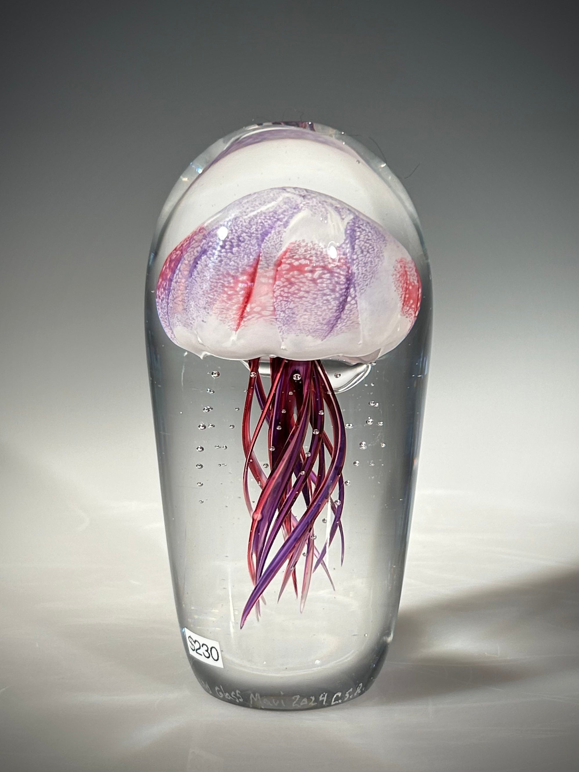 Ruby/Amethyst Jellyfish