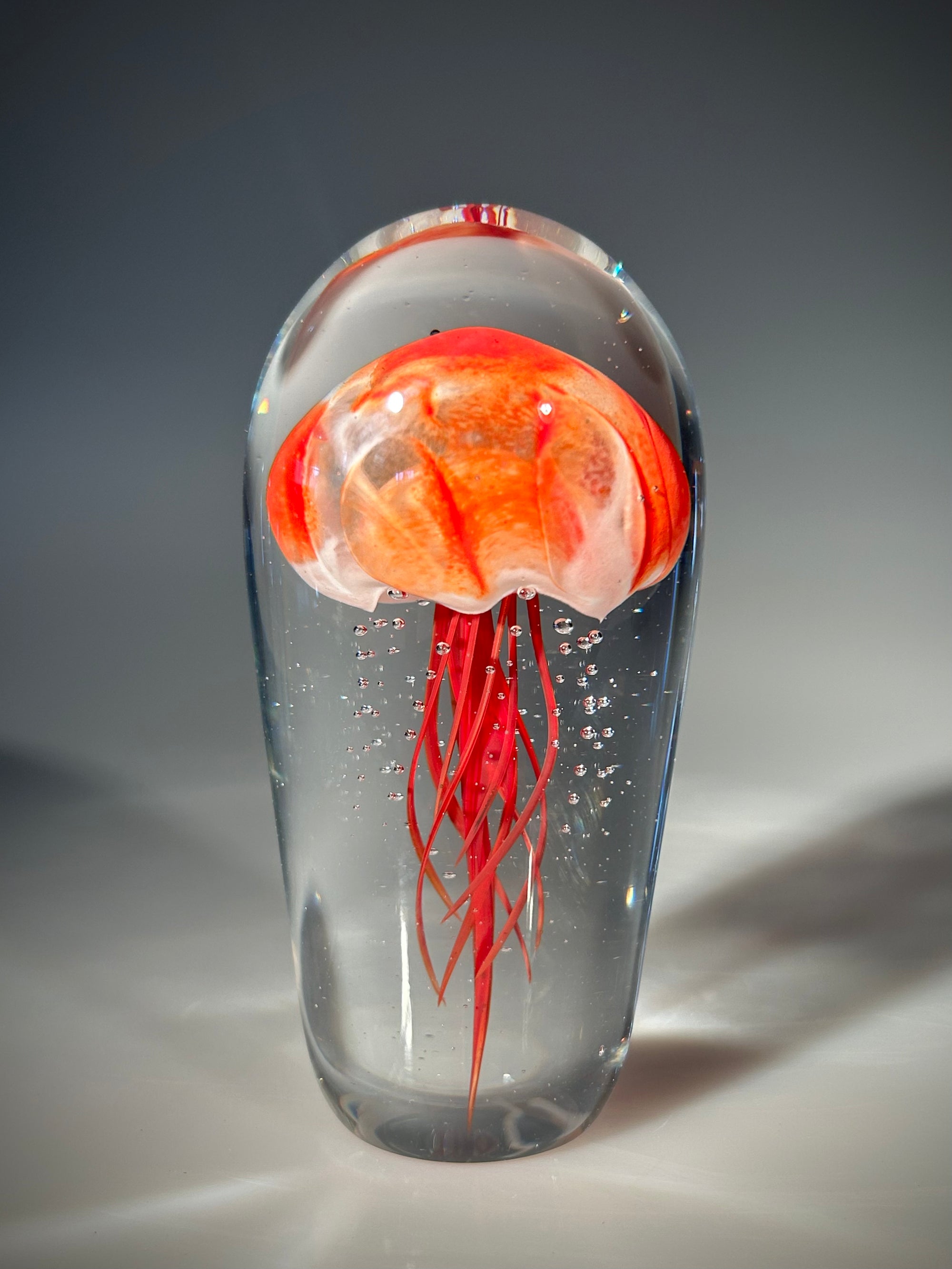 Red Jellyfish